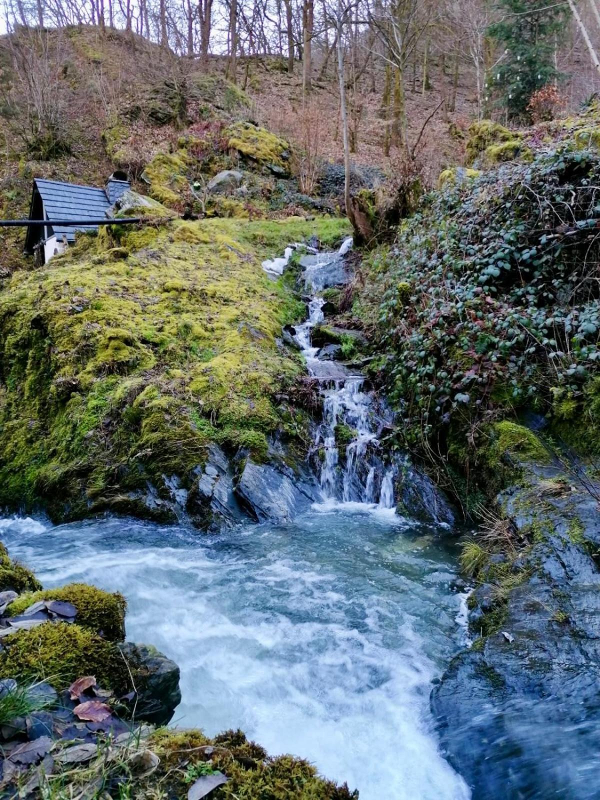 Landhaus Laux Schmitt Exteriör bild